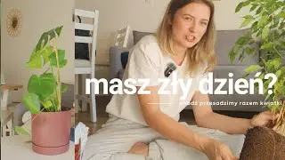🌱 masz zły dzień? przesadźmy razem kwiatki