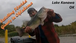 Florida Bass in Oklahoma? - Lake Konawa Fall Fishing