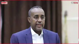 Ra'iisal Wasaare Rooble Muxuu ka yidhi Kiiska Ikraan Tahliil?