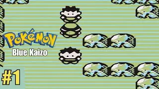 Pok&eacute;mon Blue Kaizo Walkthrough Part 1 &ndash; Pallet Town to Brock (Insane Kaizo Adventure Begins!)