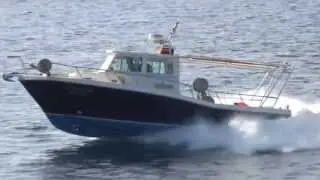 Ωρίων Fishing 33