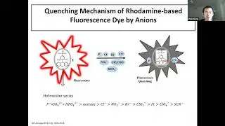 Quenching Mechanism of Rhodamine-based Fluorescence Dye by Anions