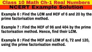 Class 10 Ch 1 NCERT Example 6 | Example 7  Example 8 | Real Numbers | Math | NCERT Solution | CBSE |