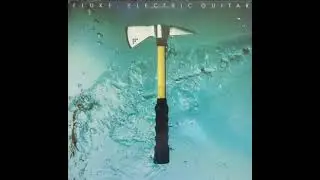 Fluke - Electric Guitar (Humbucker)