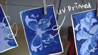 cyanotypes are cool: making postcards