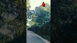 এই শীতে শ্রীমঙ্গলে সকাল সকাল চলে আসলাম #শ্রীমঙ্গলের সৌন্দর্য উপভোগ করার জন্য 🌿👌