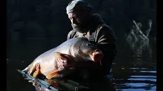 P&ecirc;che &agrave; la carpe            en barrage         Magnetikbaits