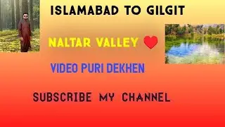 Exploring Naltar Valley: A Scenic Drive from Islamabad to Gilgit &hearts;️&hearts;️&hearts;️&hearts;️