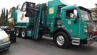 LABOS 36196
