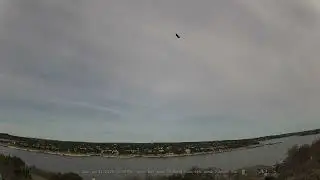 01/11/2026: Lake Travis, Texas (Austin, TX): 4K, 60fps Daily Weather & Boat Traffic Timelapse Video