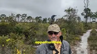 Fall Migration of Birds in Louisiana - a Bird Photographer&rsquo;s Paradise