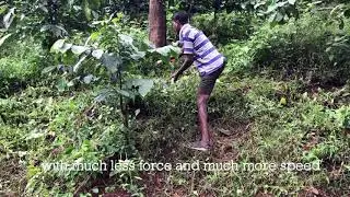 Scythe Diaries | #2 Badra Coffee, Karnataka