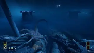 Alien Rogue Incursion: part 4