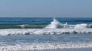 Dolphin Pod Sighting @ Fletcher Cove Beach Park 🐬