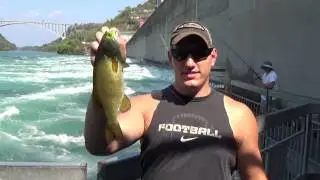 NYPA FISHING PLATFORM   - 1 SMALL BASS