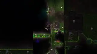 I'll stink you up! #Terraria #Shorts