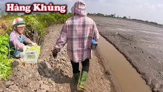 Cuối Cùng Củng Có RẮN Lớn # CSBR # 446
