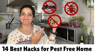 14 Best Hacks to keep your Home Pest Free | तिलचट्टा, छिपकली, चींटियों को प्राकृतिक रूप से दूर भगाएँ