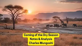 Coming of The Dry Season Notes | Full Literary Analysis and Themes