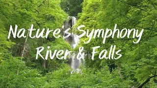 Mesmerizing Mountain River & Waterfall Sounds for Stress Relief | Relaxing Stream & Birds Singing