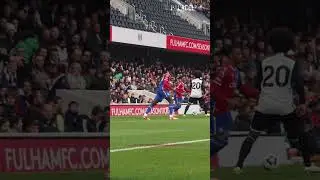Goal of the Month?? 🤷&zwj;♂️ Schlupp's rocket over and over again #crystalpalace #premierleague #goals