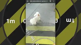 SafeZone: Social Distancing AR Web App