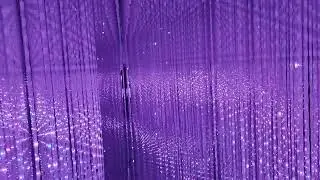 The Infinite Crystal Universe Tokyo's Illuminating Art