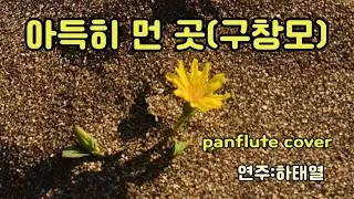 아득히 먼 곳 (구창모) panflute 연주 울산 하태열 팬플룻 아카데미