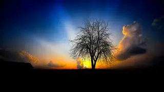 Best Chill Out Lounge vol 3  2020