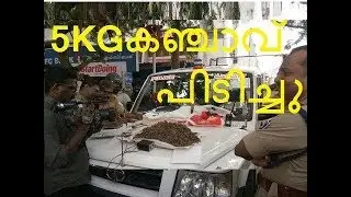 5KG KANJAVU  Holders ARRESTED at panampally nagar today AUG 21 2017 | 5KG കഞ്ചാവ് പിടിച്ചു