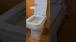 Macerating toilet#macerator#toilet#technology