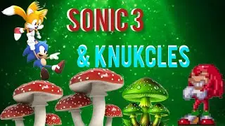 Sonic The Hedgehog 3 & Knuckles Parte 8- Sonic e Tails descobriram o segredo de mushroom valley!