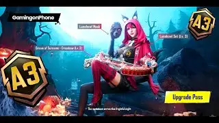 Royal Pass Розыгрыш Роял Пасс A3