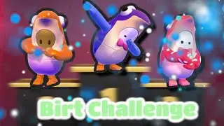 Fall Guys Bert Challenge!