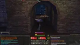 Uthgard RvR: Realm Joint Pug vs Hibs (Theurg POV)