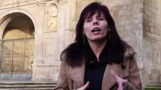 SÉ CATEDRAL  DE VISEU | breve historial