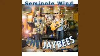 Seminole Wind