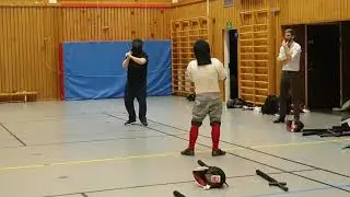 Gr&ouml;na Ugglan testar Hema L&aring;ngsv&auml;rd