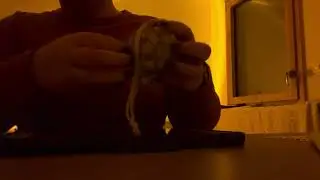 My First ASMR Video 🫶🏻 (fabric sounds + scratching)