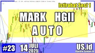 140725 MARK HGII AUTO