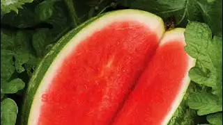 The Top 3 Reasons I Don&rsquo;t Eat Seedless Watermelon 🍉😳🍉