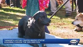 Tamworth History Center unveils statue honoring Chinook the explorer dog