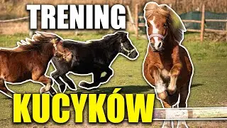 SKOKI KUCYKÓW ❤️ - MAŁY TRENING