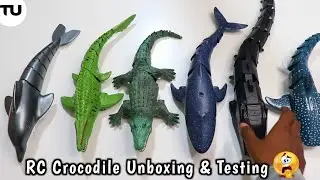 RC Simulation Dino Water High Speed Crocodile Unboxing & Testing - Toy Unboxing