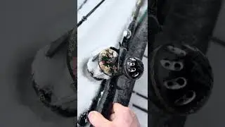 Trying To Catch Giant Catfish In Freezing Conditions