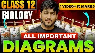 Class 12 Biology : All Most Important Diagrams  in One Video | Boards 2025-26