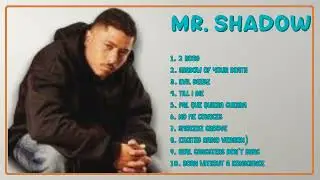 Mr. Shadow-Prime hits roundup for 2024-Leading Hits Mix-Eminent
