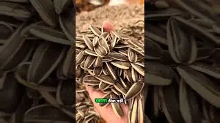 #giveaway