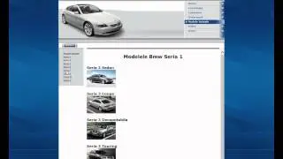 Model atestat BMW