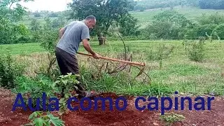 Como capinar da maneira correta